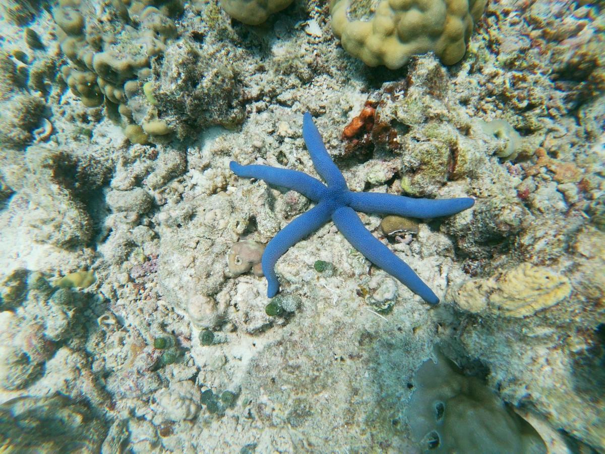 מלון נאיפארו One The Island מראה חיצוני תמונה
